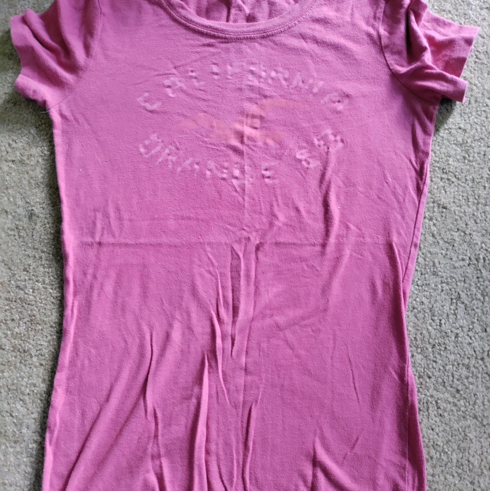 Hollister Co T Shirt